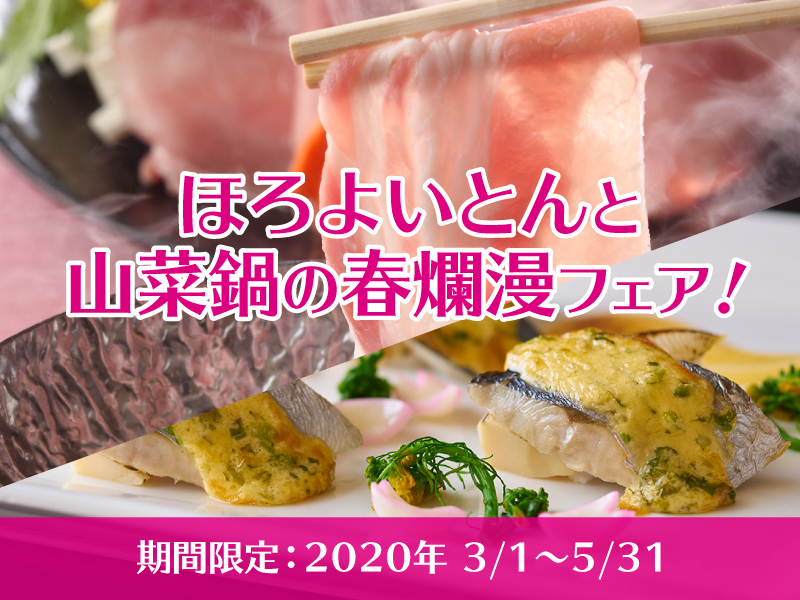 6月末まで期間限定「初夏のほろよいとんと山菜鍋フェア」開催中！